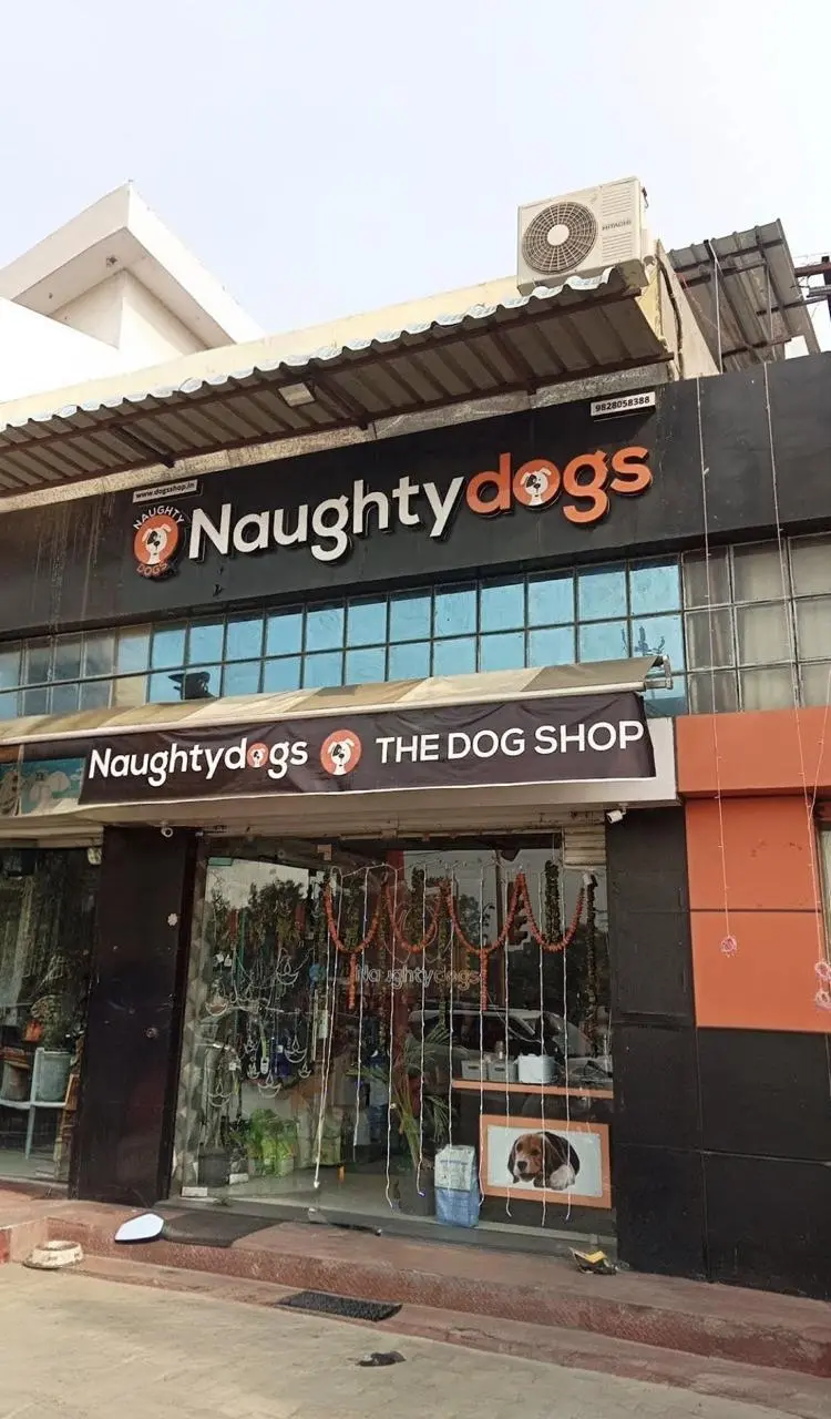 Best Pet Shop in Jaipur