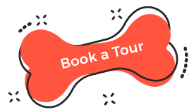 https://dogsshop.in/wp-content/uploads/2019/08/book_tour.png
