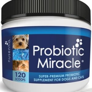 https://dogsshop.in/wp-content/uploads/2021/04/2019-120-probiotics-cats_360x-300x300.jpg