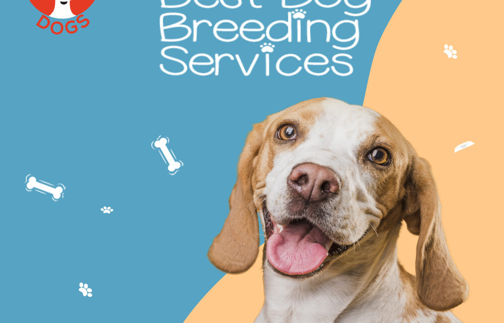 https://dogsshop.in/wp-content/uploads/2021/04/Dog-Breeding-Services-1000x1000-1-1000x640.jpg