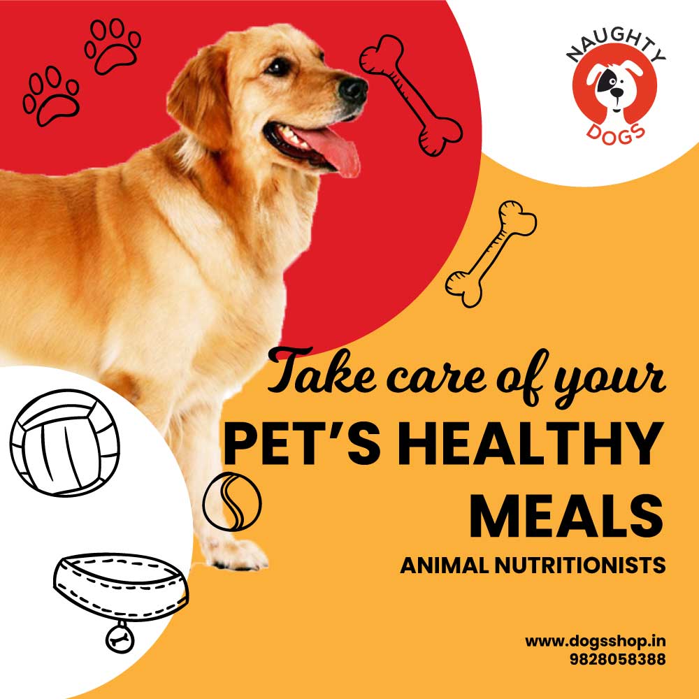 https://dogsshop.in/wp-content/uploads/2021/04/HEALTHY-MEAL-SERVICES-1000X1000.jpg