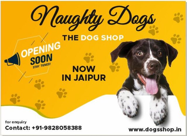 dog shop in jaipur