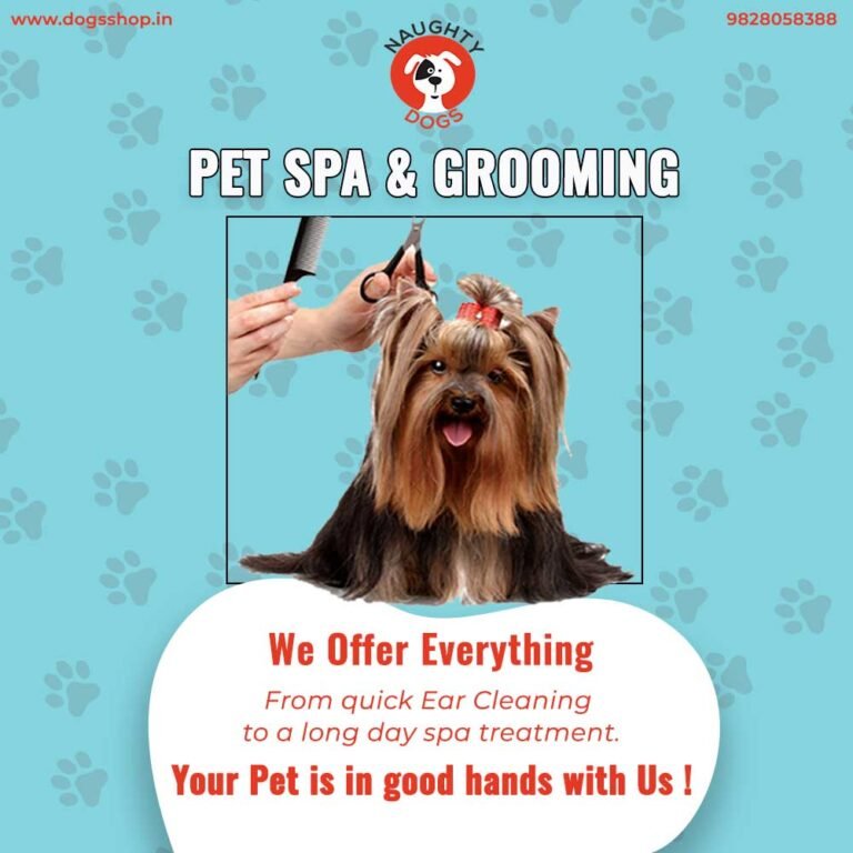 Pet Grooming Services In Jaipur | Dog Grooming Near Me | Pet Grooming Services At Home