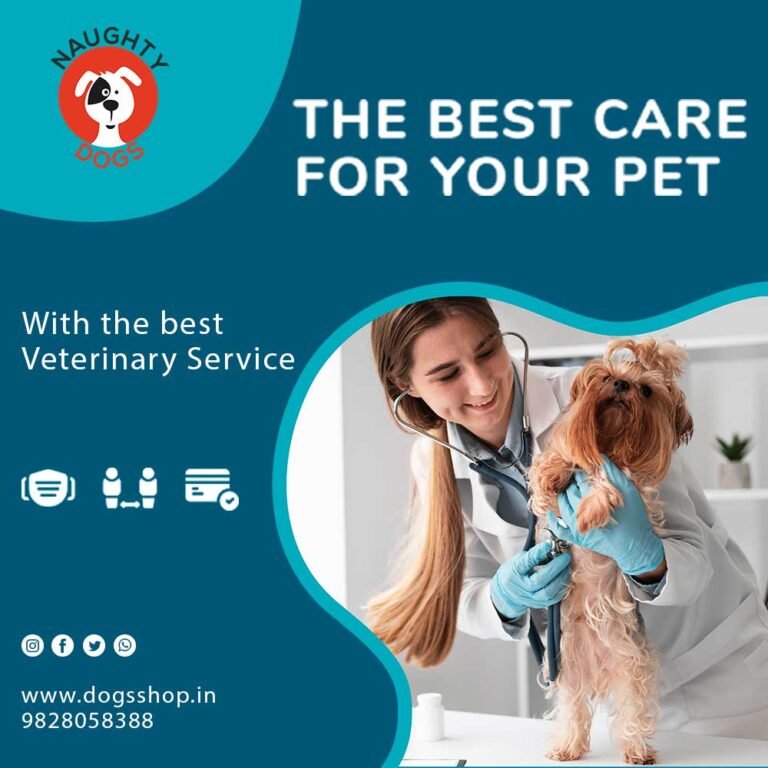Dog Medicine Online Store In Jaipur | Dog Clinic In Jaipur | Veterinary Doctor In Jaipur