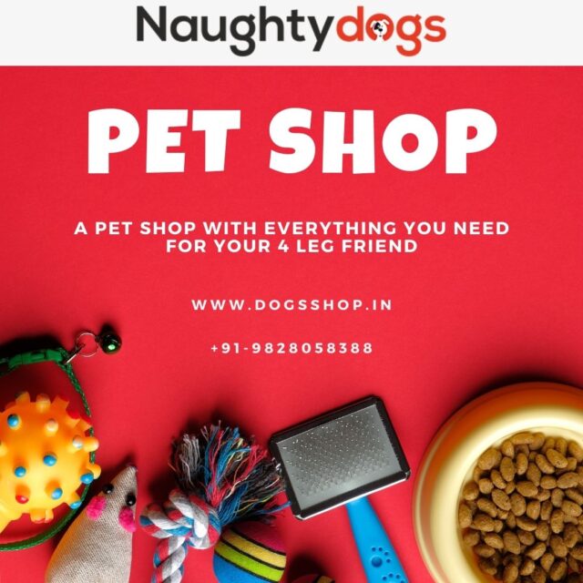 Best Pet Shop in Jaipur | Online Pet Store In Jaipur