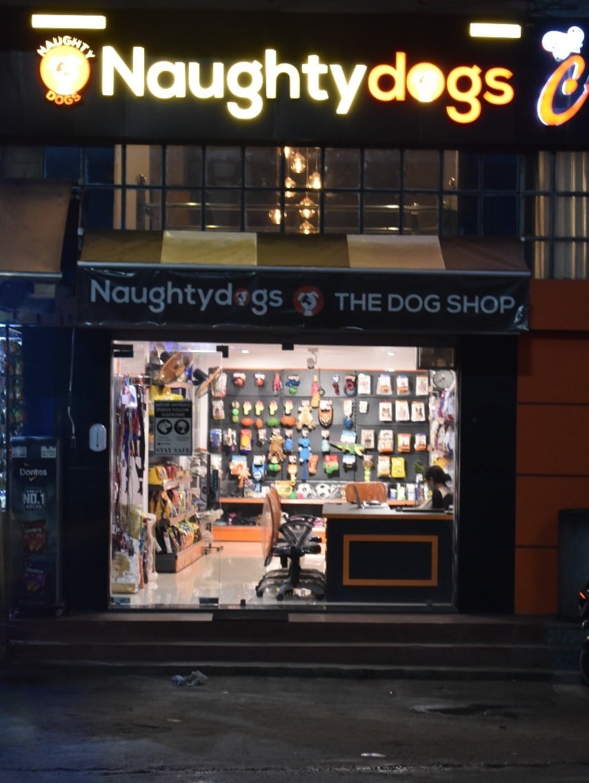 Best Dog Shop In Jaipur Pet Shop Near Me Dog Shop Online