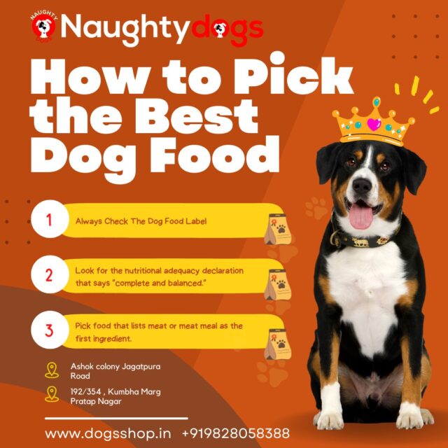 dog food online