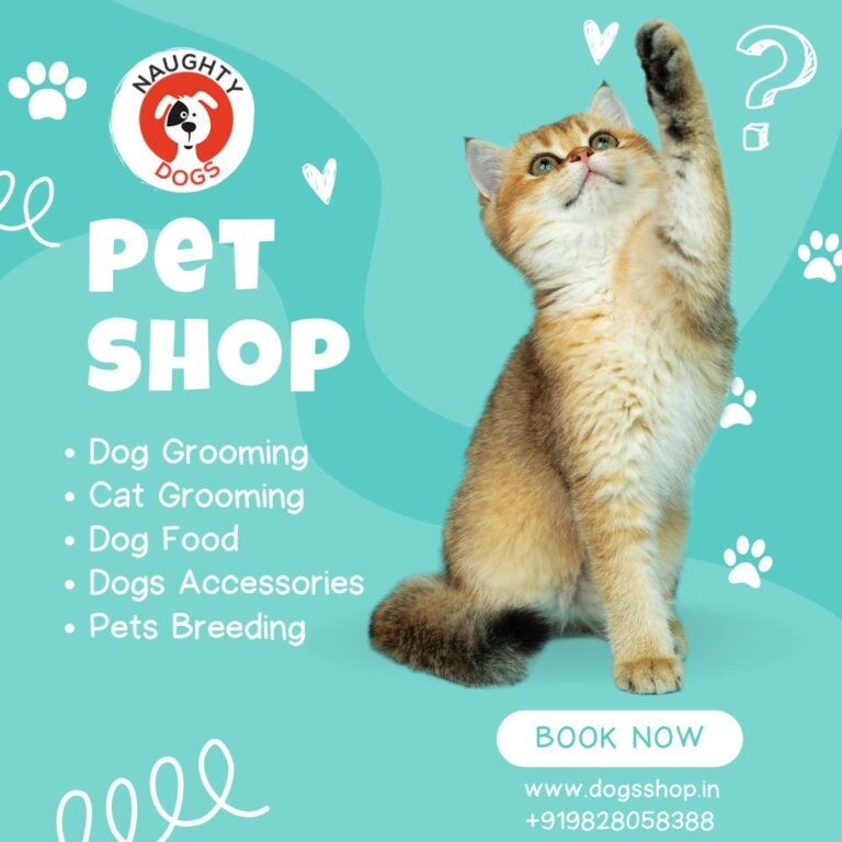 Best Dog Toys