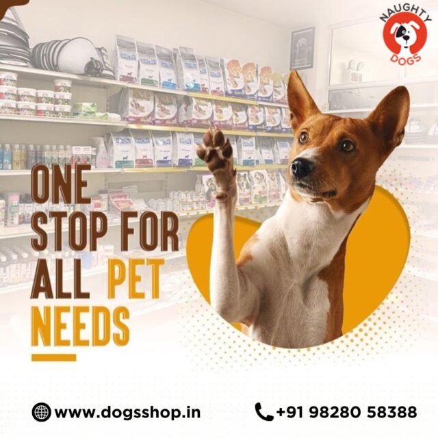 dog shop in jaipur with price list