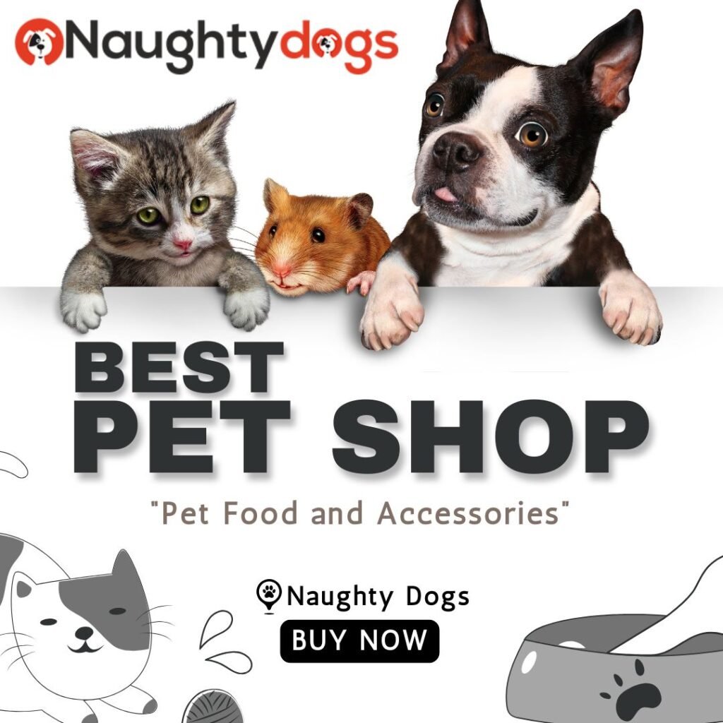 Benefits of Buying a Dog Online from Verified Sellers