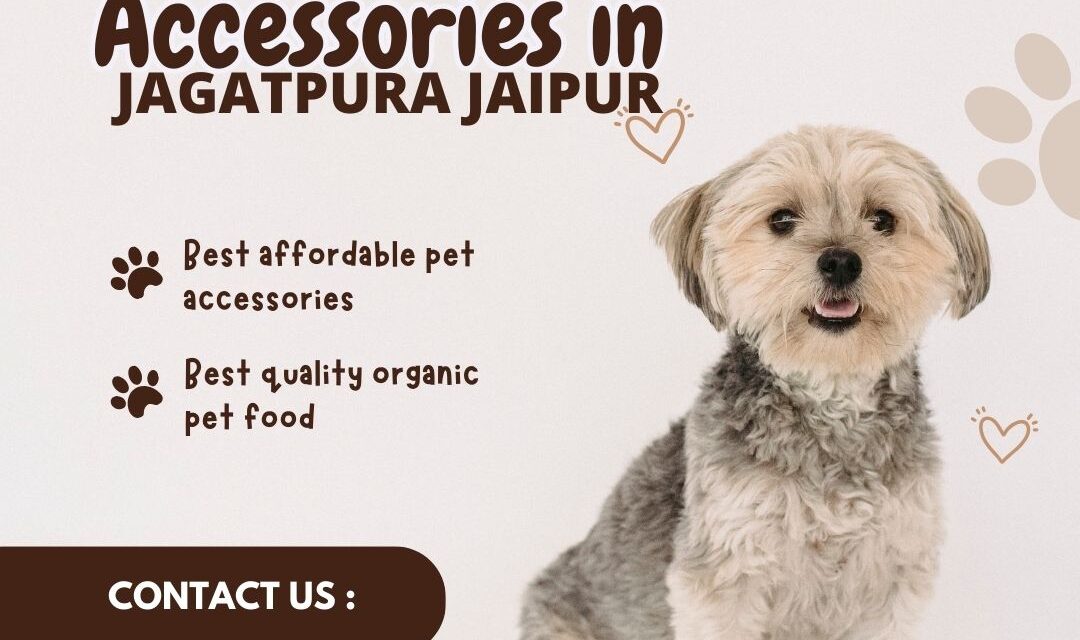 Best Dog Accessories in Jagatpura Jaipur | The Naughty Dog
