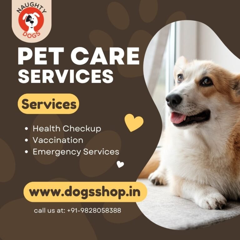 Naughty Dogs – Best Dog Clinic in Jaipur for Pet Care