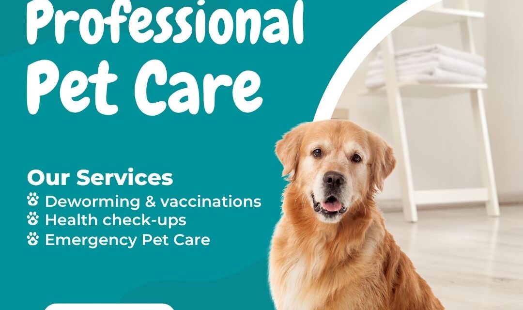 Best Dog Clinic in Jaipur – Vet Services at Naughty Dogs