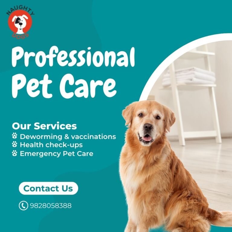 Best Dog Clinic in Jaipur – Vet Services at Naughty Dogs