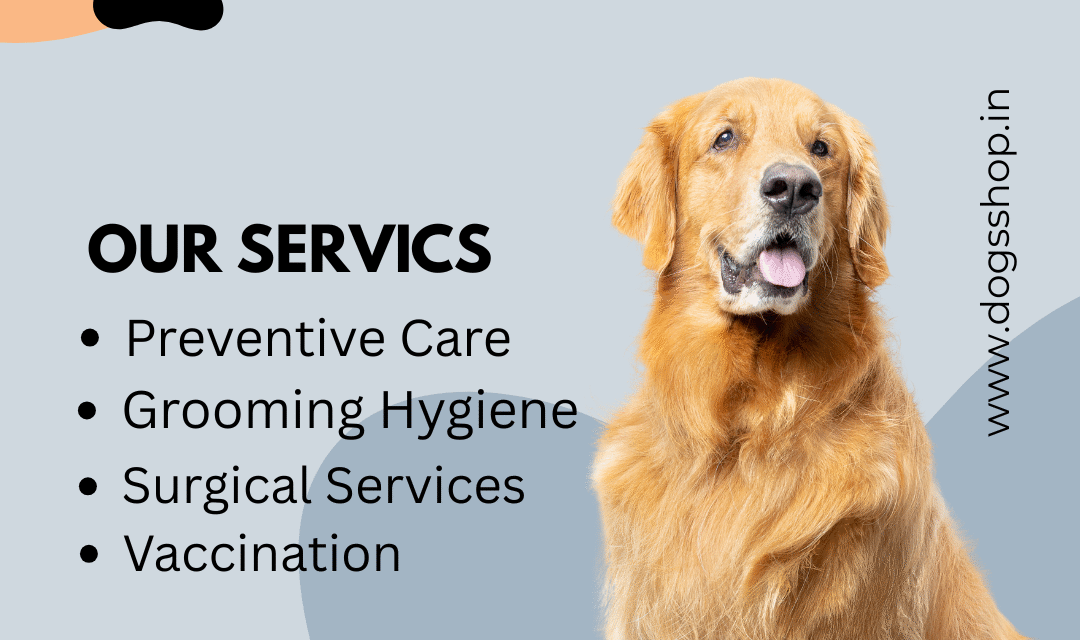 Best Clinic for Dogs in Jaipur: Your Go-To Guide for Expert Pet Care