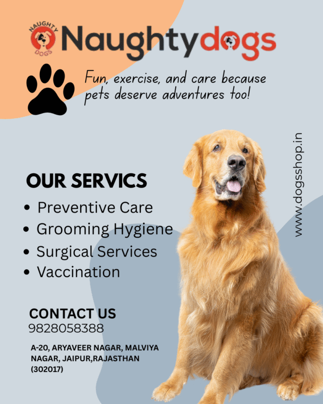 Best Clinic for Dogs in Jaipur: Your Go-To Guide for Expert Pet Care