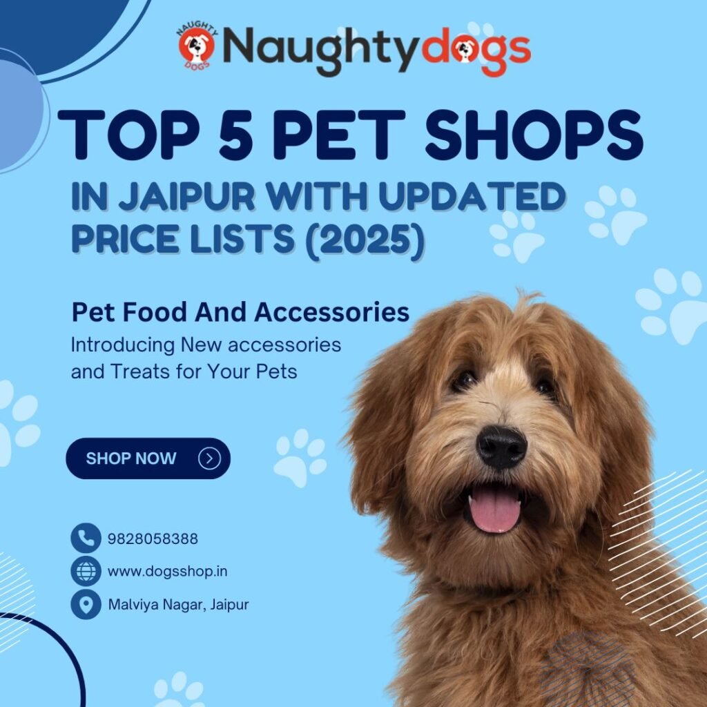 Top 5 Pet Shops in Jaipur With Updated Price Lists (2025)