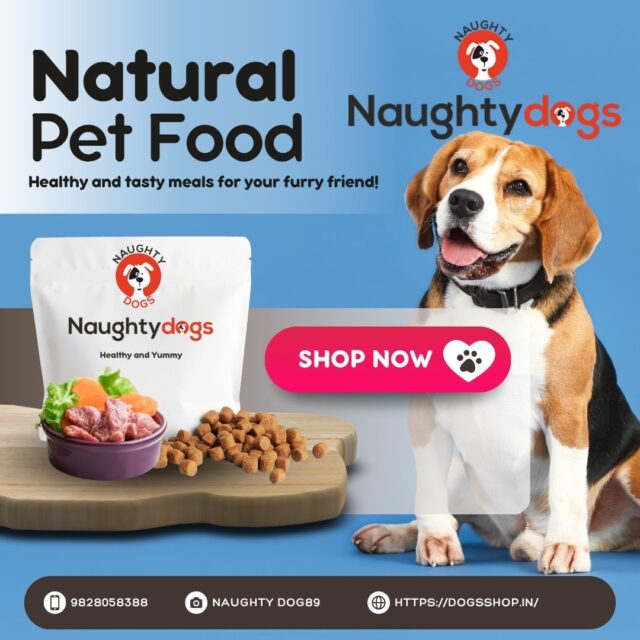 Best Dog Food in Jaipur – Find the Perfect Nutrition at Naughty Dog (Pratap Nagar & Jagatpura)
