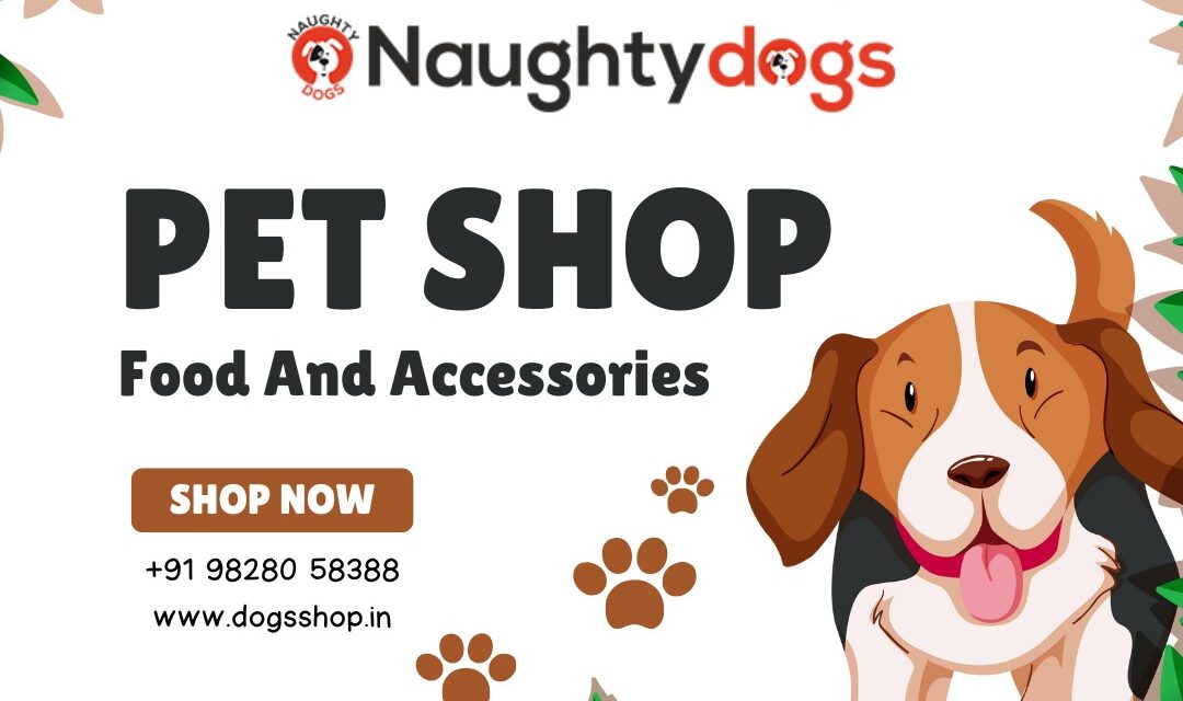 Best Dog Accessories Under ₹499 – Naughty Dog Jaipur