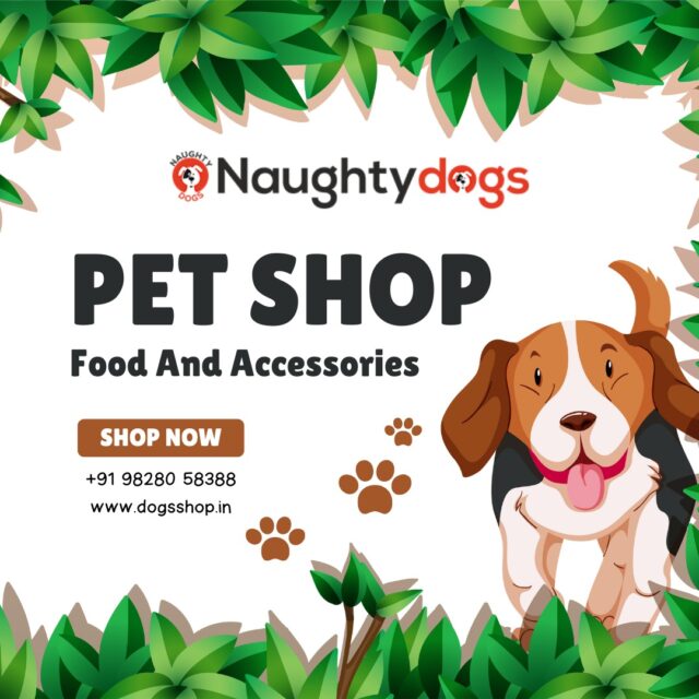 Best Dog Accessories Under ₹499 – Naughty Dog Jaipur