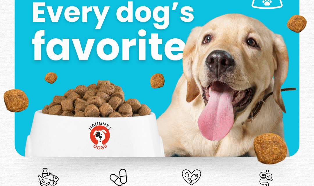Best Dog Food Shop in Malviya Nagar – Naughty Dog