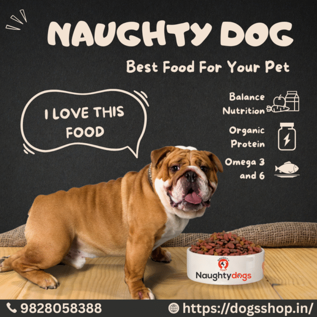 🐶 Top 5 Nutritional Dog Foods Available on DogsShop.in in 2025