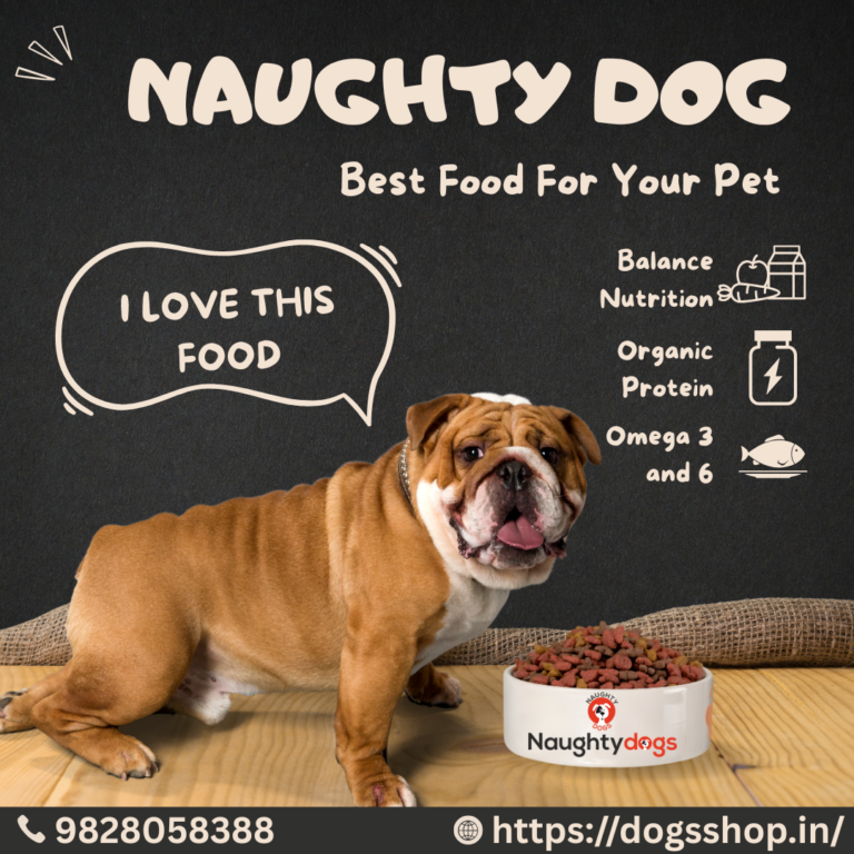 🐶 Top 5 Nutritional Dog Foods Available on DogsShop.in in 2025