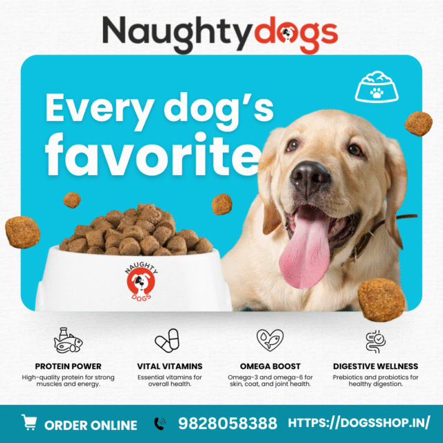 Best Dog Food Shop in Malviya Nagar – Naughty Dog