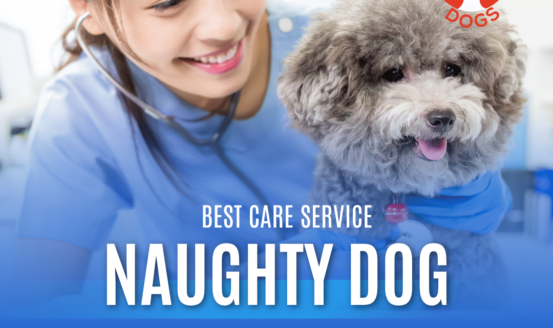 🐾 Best Vet Doctor in Malviya Nagar – Expert Pet Care by Naughty Dog