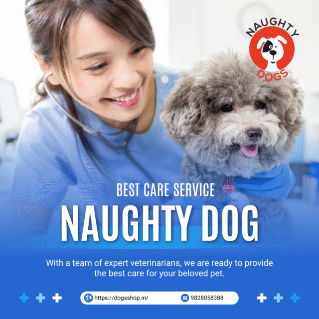 🐾 Best Vet Doctor in Malviya Nagar – Expert Pet Care by Naughty Dog