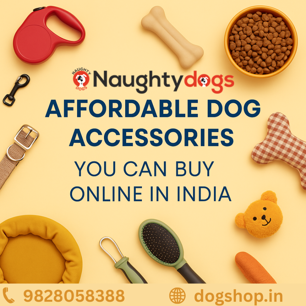 Affordable Dog Accessories