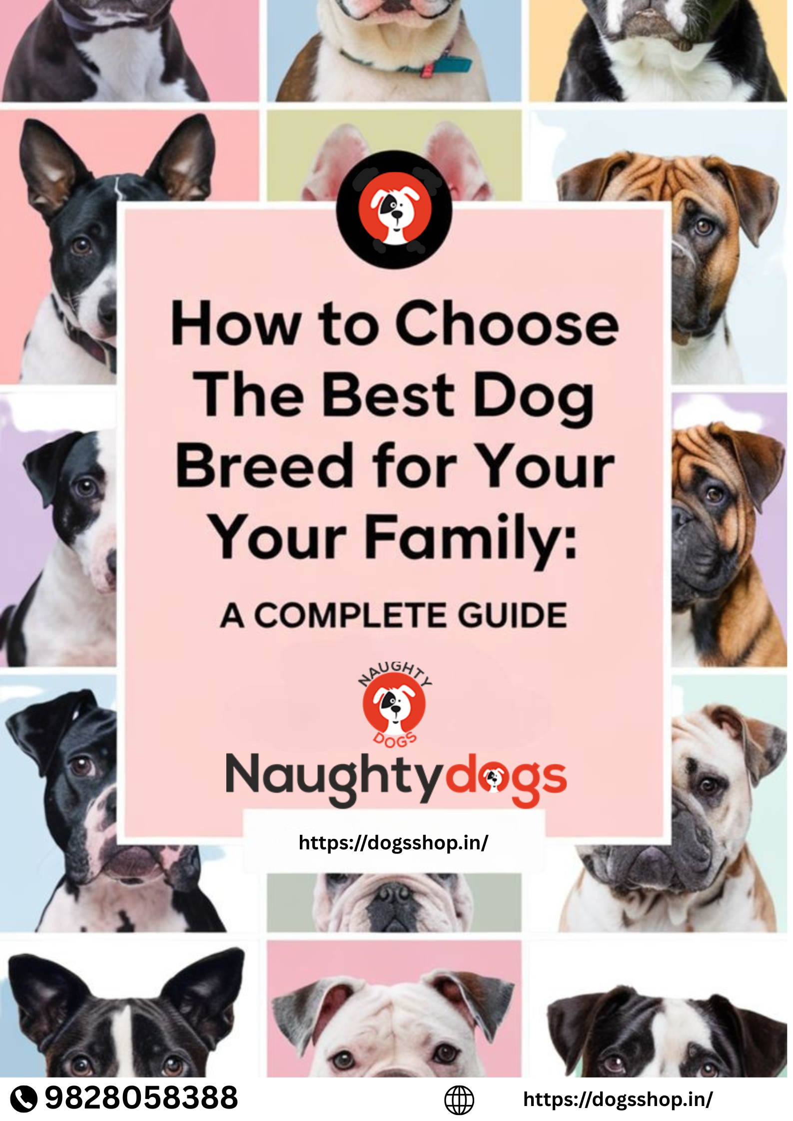 How to Choose the Right Dog Breed for Your Family