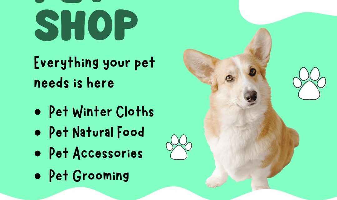 🐾 The Best Pets Clothes and Accessories in Jaipur: Diwali & Winter Special Styles from Naughty Dogs
