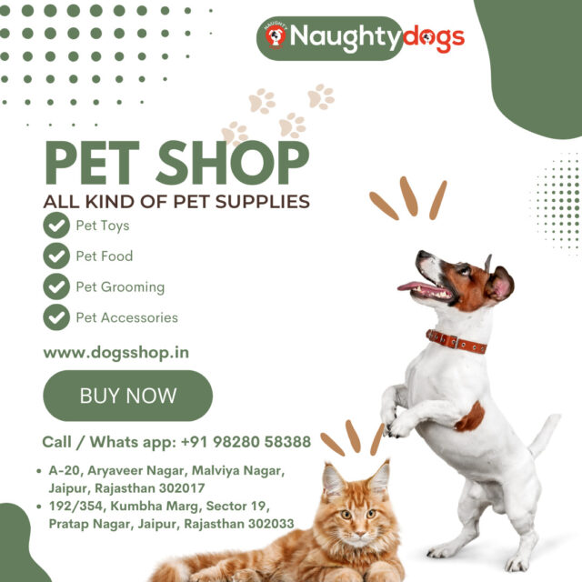 Best Pet Shops in Jagatpura