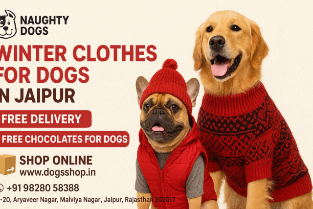 Winter clothes for dogs near Malviya Nagar Jaipur – Naughty Dogs