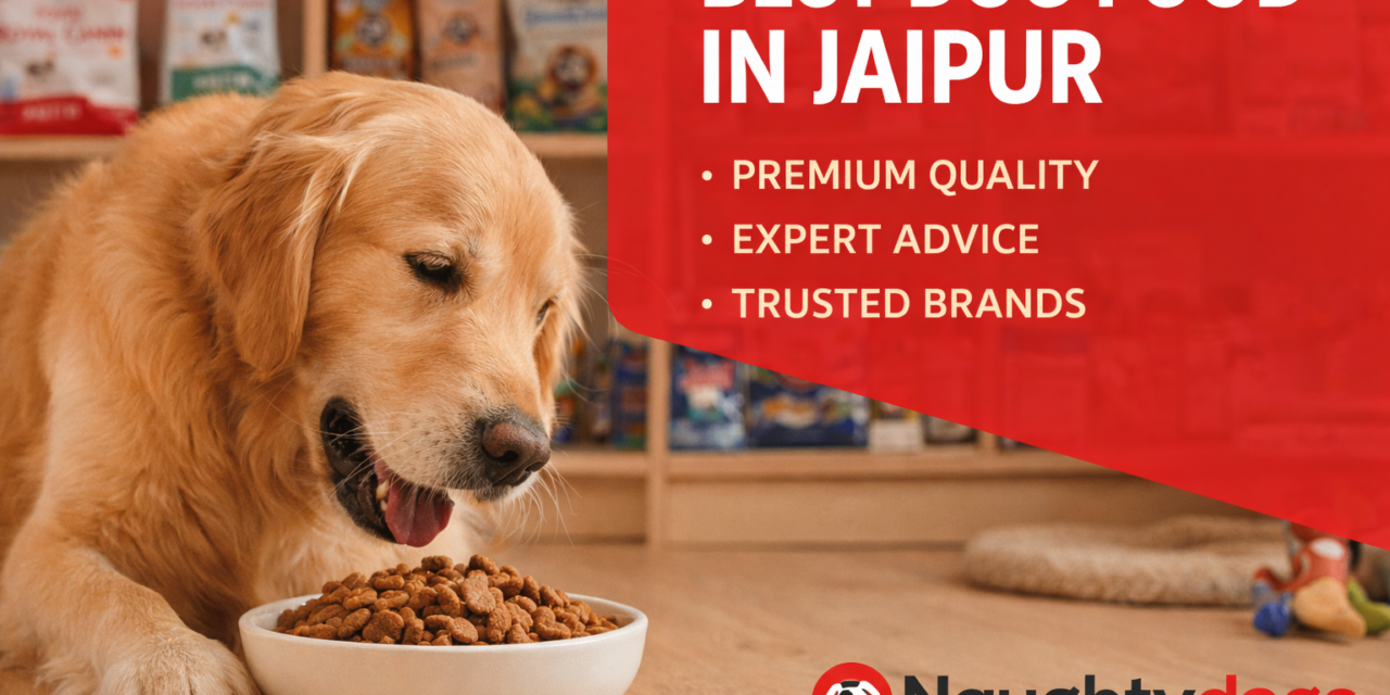 Best Dog Food in Jaipur for Strong, Healthy & Happy Dogs