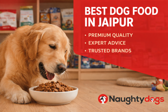best dog food in jaipur