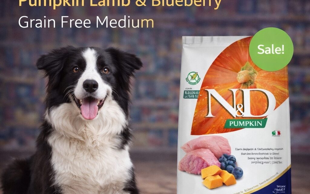 Best Dog Food in Jaipur | Pumpkin Lamb & Blueberry Grain