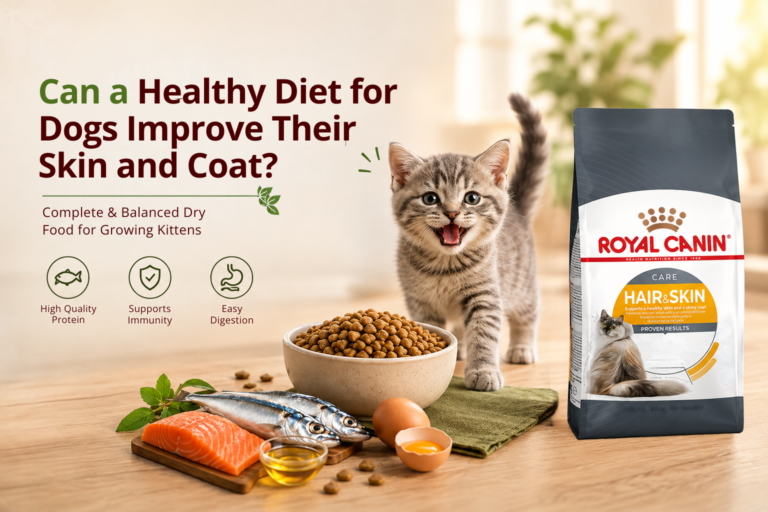 Can a Healthy Diet for Dogs Improve Their Skin and Coat?